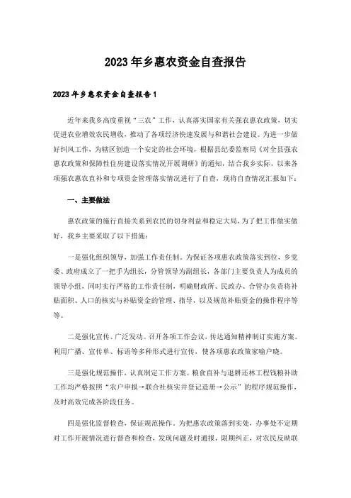 2023年乡惠农资金自查报告