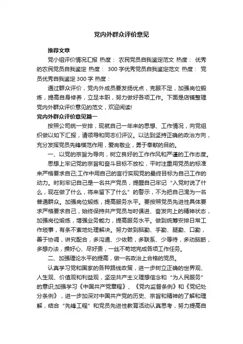 党内外群众评价意见