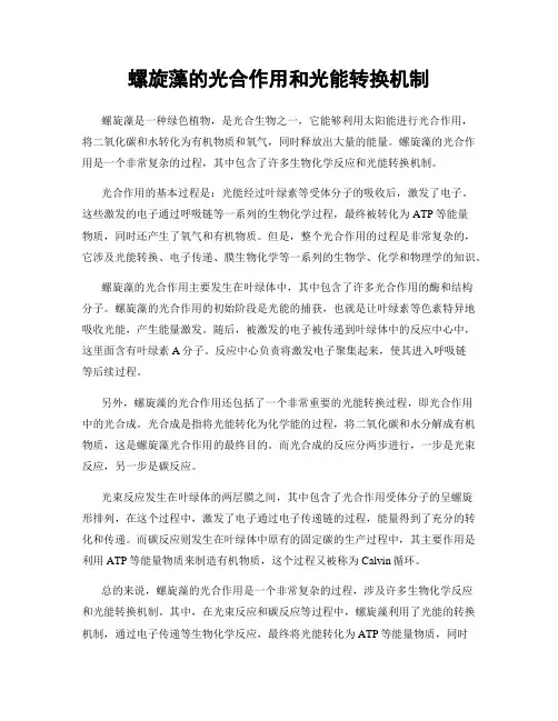 螺旋藻的光合作用和光能转换机制