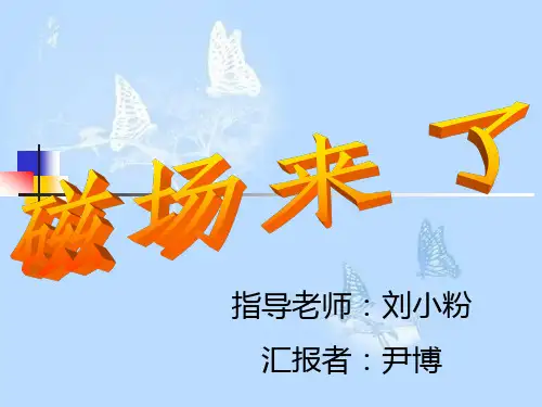 极低频磁场