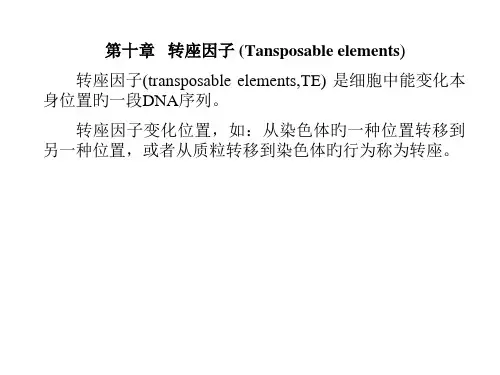 转座因子新版