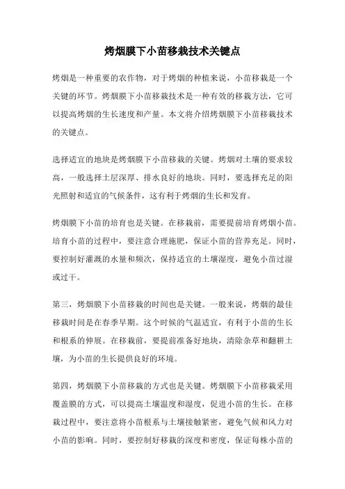 烤烟膜下小苗移栽技术关键点