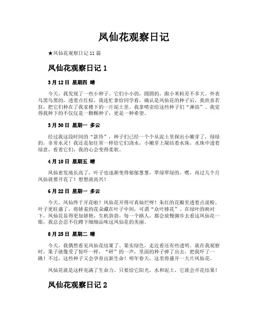 凤仙花观察日记