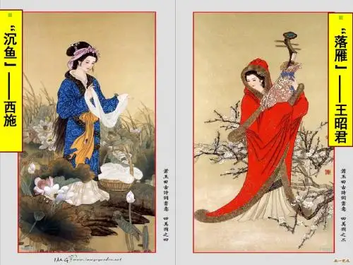 咏怀古迹(其三)ppt42