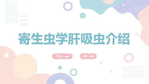 寄生虫学肝吸虫介绍