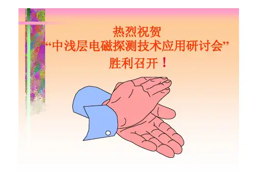 罗延钟 时间域激电法和频谱激电法