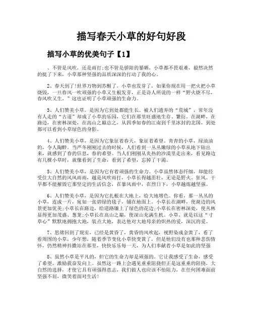 描写春天小草的好句好段