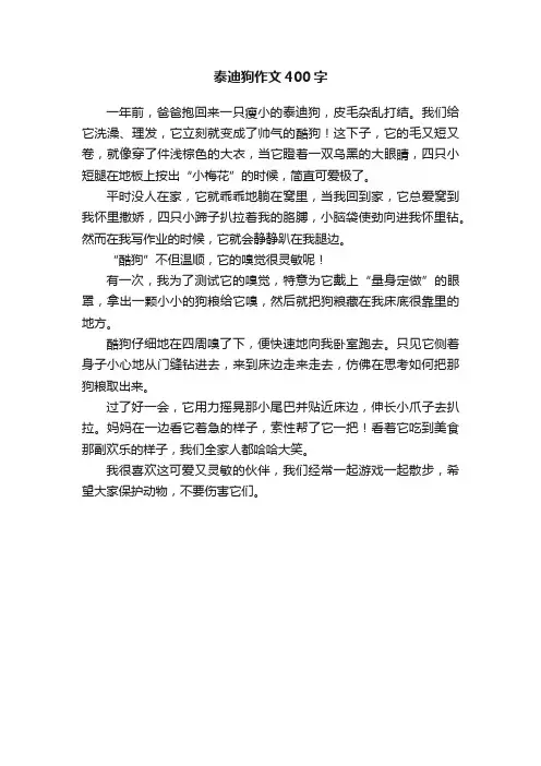 泰迪狗作文400字