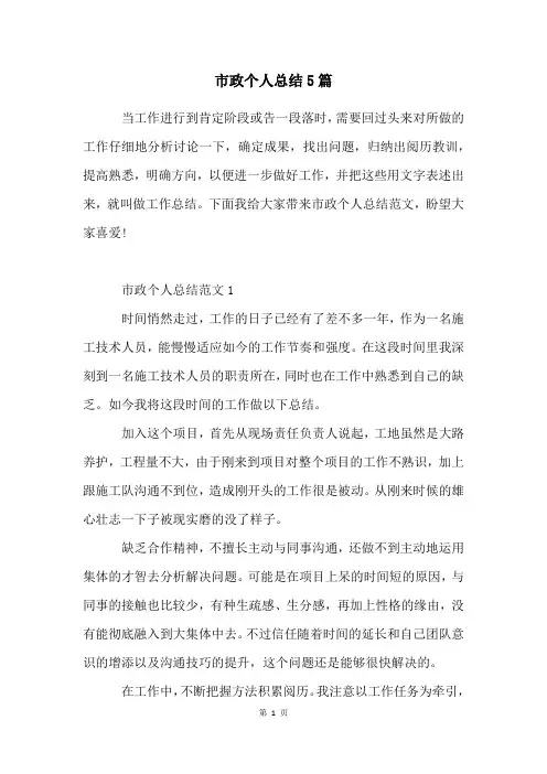 市政个人总结5篇