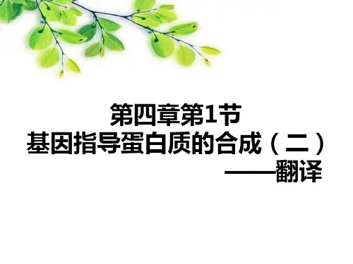 人教版生物必修二4.1基因的表达---翻译