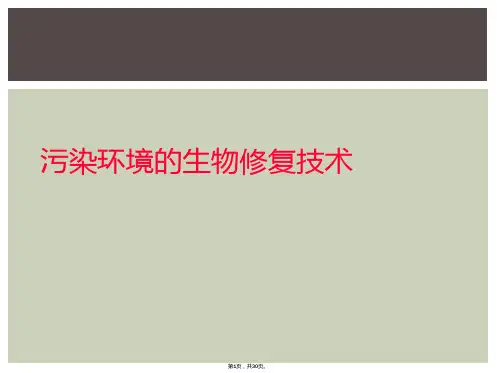 污染环境的生物修复技术