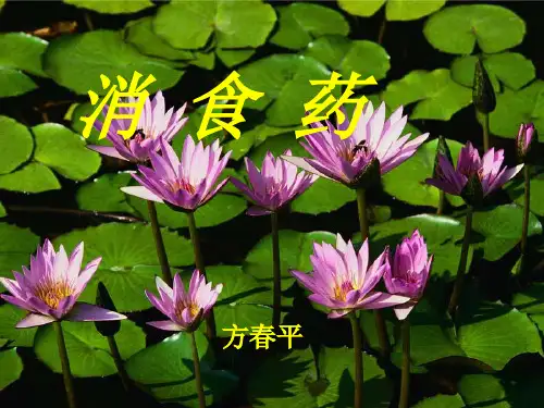 中药学9.消食药课件