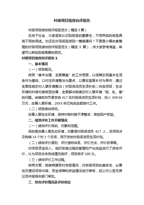 村级项目绩效自评报告范文（精选5篇）