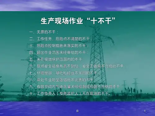 生产现场作业“十不干”PPT