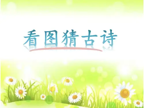 古诗《菊花》优质PPT