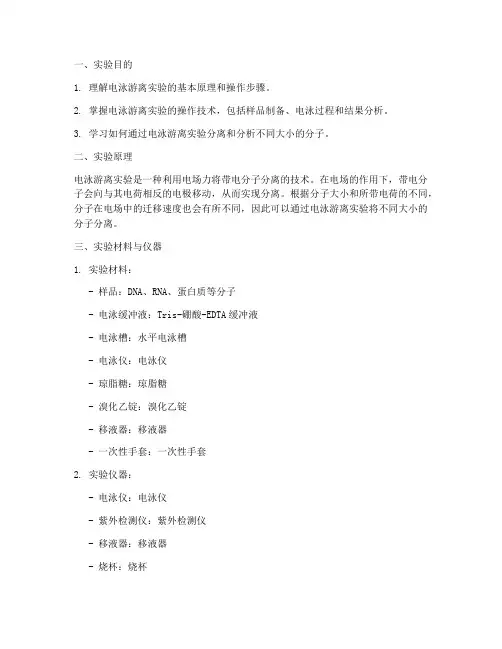 电泳_游离实验报告