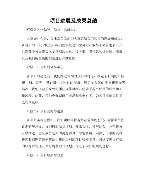 项目进展及成果总结