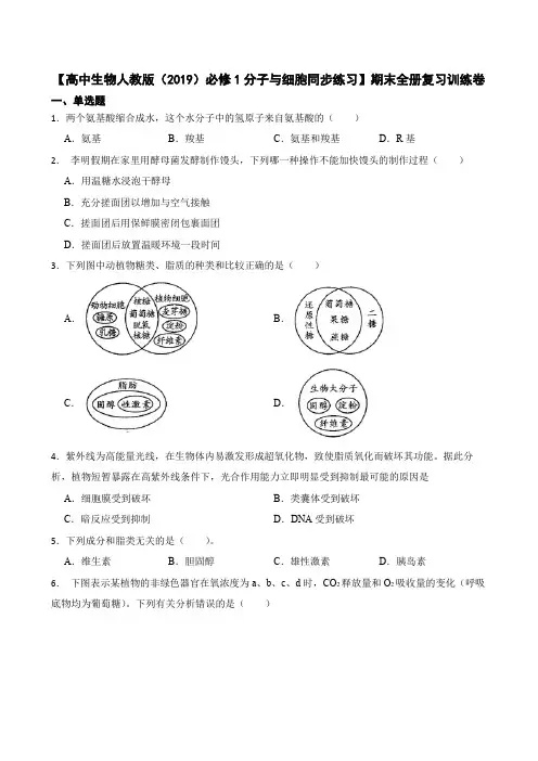 【高中生物人教版(2019)必修1同步练习】期末全册复习训练卷(含答案)