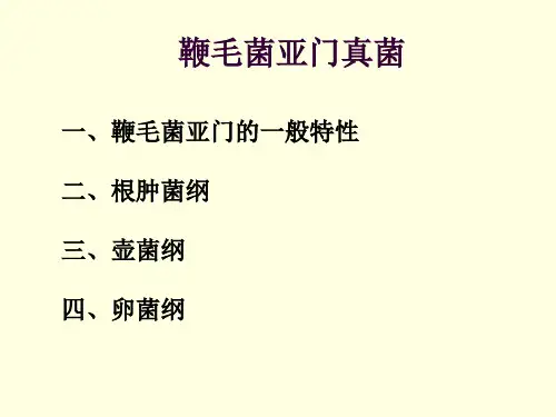 02-2真菌-鞭毛菌亚门