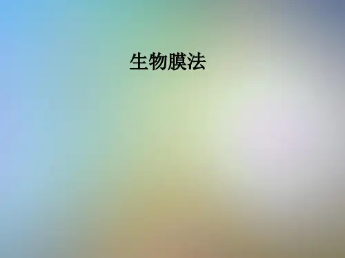 生物膜法_精品文档