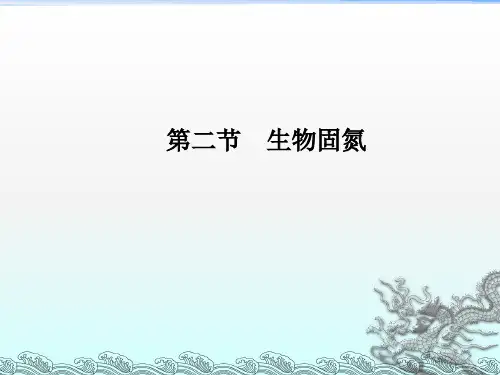 《生物固氮》PPT课件 (2)