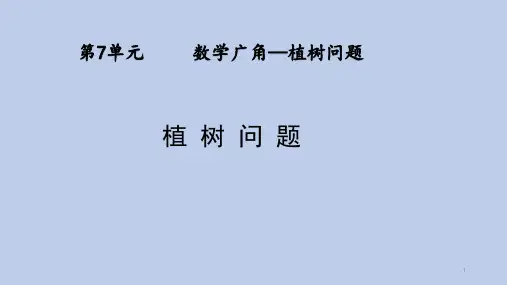 人教版五年级上册数学ppt课件 第七单元 数学广角—植树问题