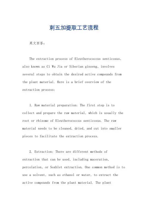 刺五加提取工艺流程