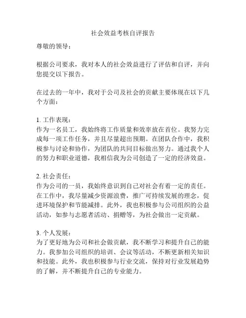 社会效益考核自评报告