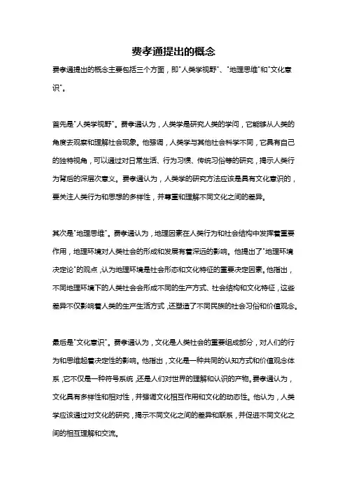 费孝通提出的概念