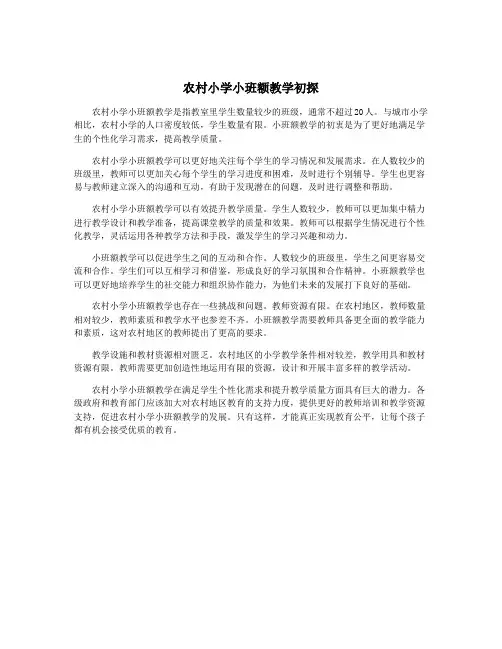 农村小学小班额教学初探
