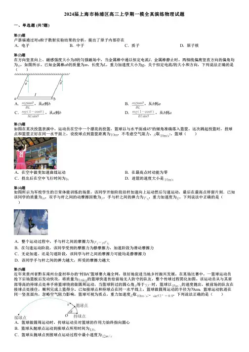 2024届上海市杨浦区高三上学期一模全真演练物理试题