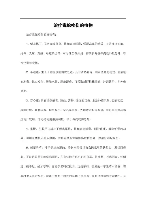 治疗毒蛇咬伤的植物