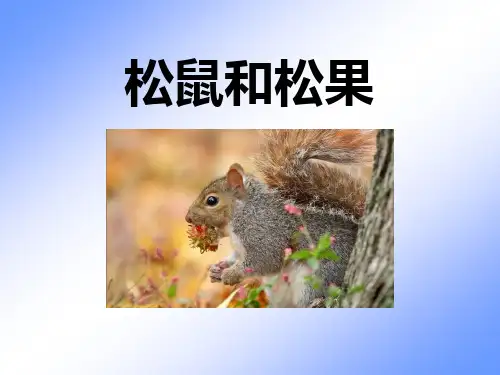 《松鼠和松果》课件-一年级下册语文PPT课件
