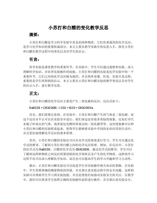 《小苏打和白醋的变化》教学反思