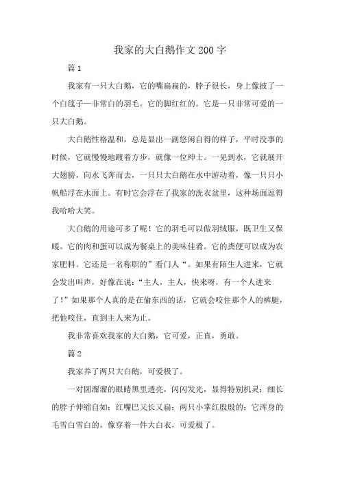 我家的大白鹅作文200字