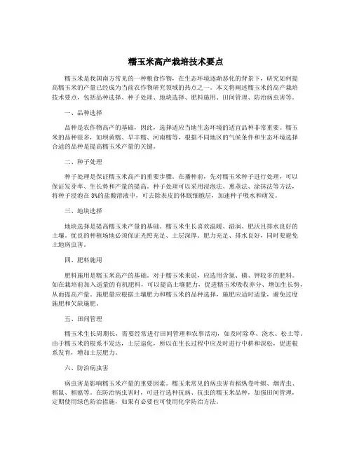 糯玉米高产栽培技术要点
