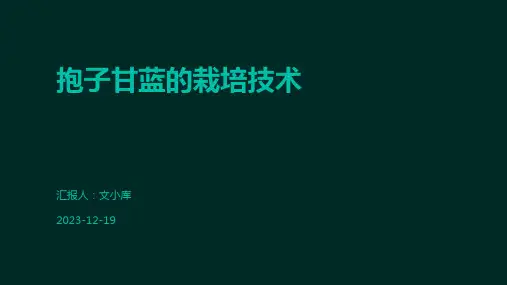 学习技巧与方法