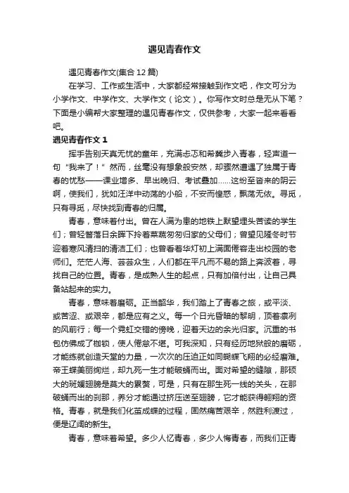 遇见青春作文（集合12篇）