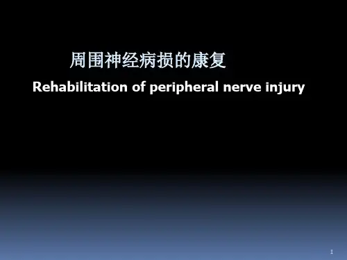 周围神经病损的康复ppt课件