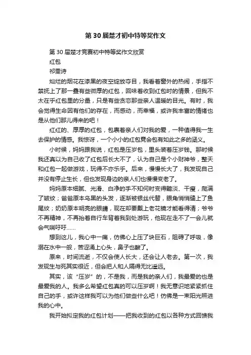 第30届楚才初中特等奖作文