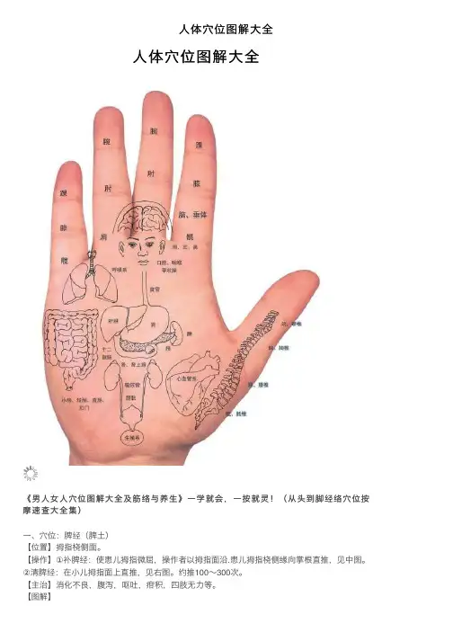 人体穴位图解大全