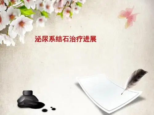 泌尿系结石治疗进展PPT课件