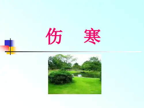 伤寒