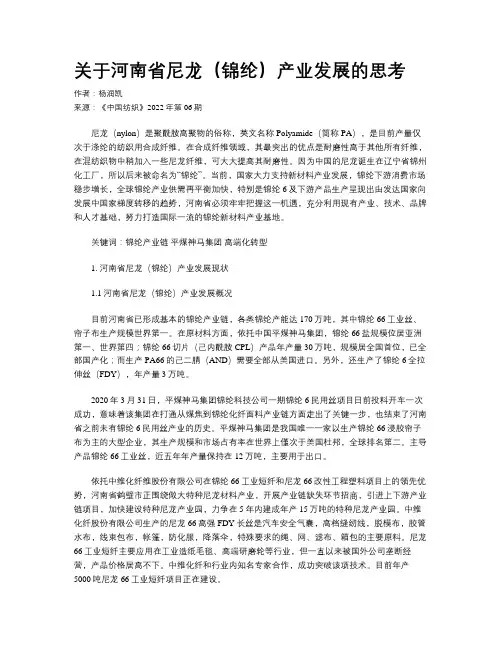 关于河南省尼龙（锦纶）产业发展的思考