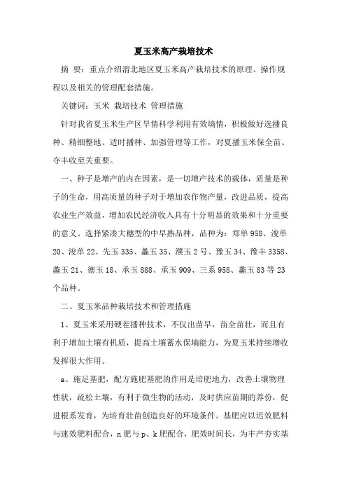 夏玉米高产栽培技术