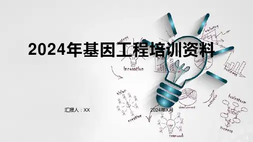 2024年基因工程培训资料
