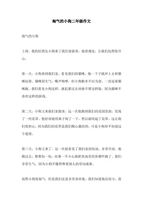 淘气的小狗二年级作文