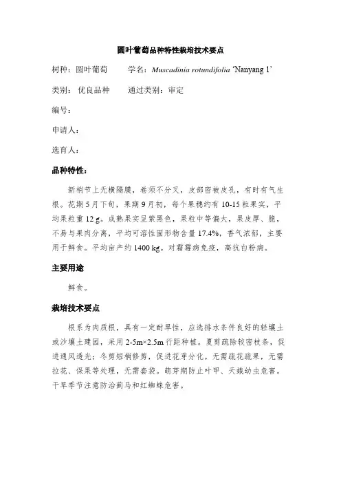 圆叶葡萄品种特性栽培技术要点
