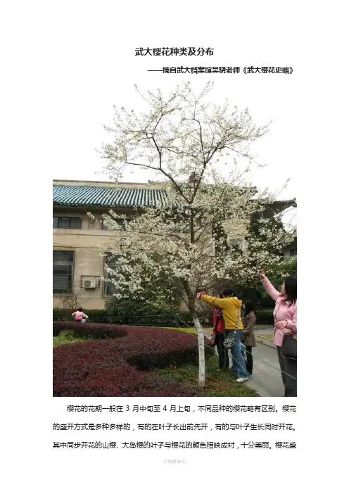 武大樱花种类及分布