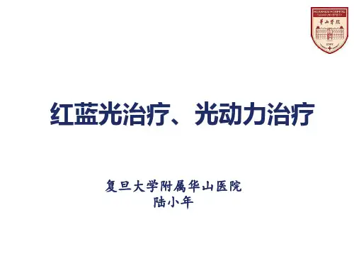 红蓝光治疗、光动力治疗(陆小年)